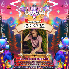 Sundelin live at Tribe Ascension Festival - 15-12-24