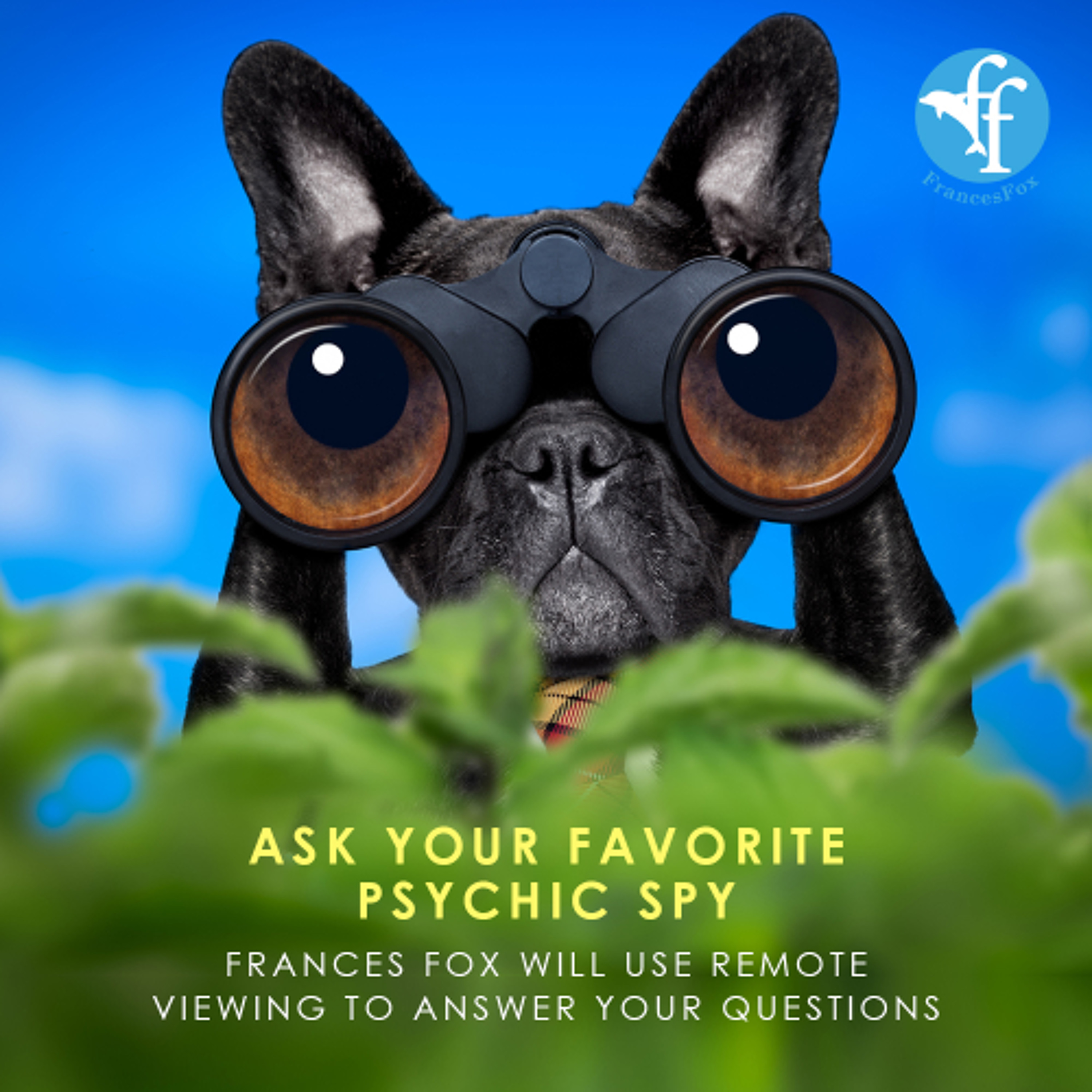 OTHER DIMENSIONS NEWS: US CREATIVITY GROUNDED, CANADA... JULY 25, 2025