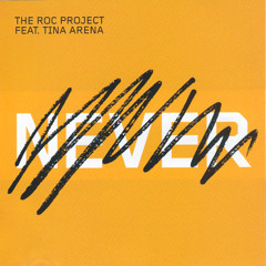 Never (Past Tense) (Radio Edit) [feat. Tina Novack]