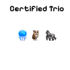Certified Trio
