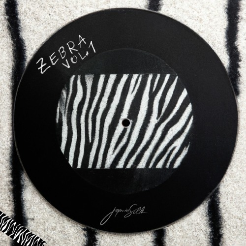 Bring Your Back Up / ZEBRA Vol.1