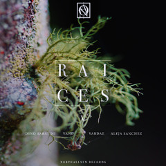 PREMIERE: Vand - Second To None [Northallsen Records]