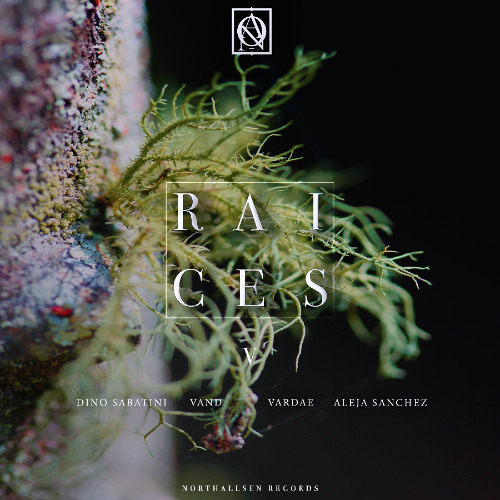 PREMIERE: Vand - Second To None [Northallsen Records]