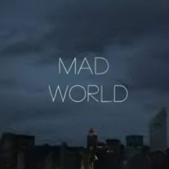 MAD WORLD (TEKK REMIX)