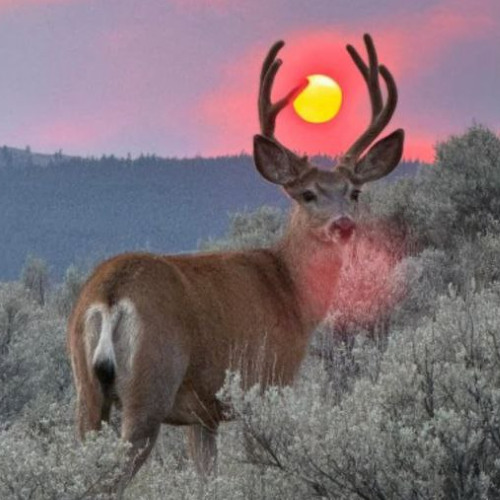 You Entered My Heart