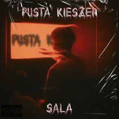 SaLa - Pusta Kieszeń (prod. mlody)