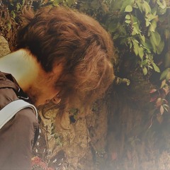 sharks aren't evil, humans are(demo)