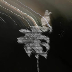 ephemeral