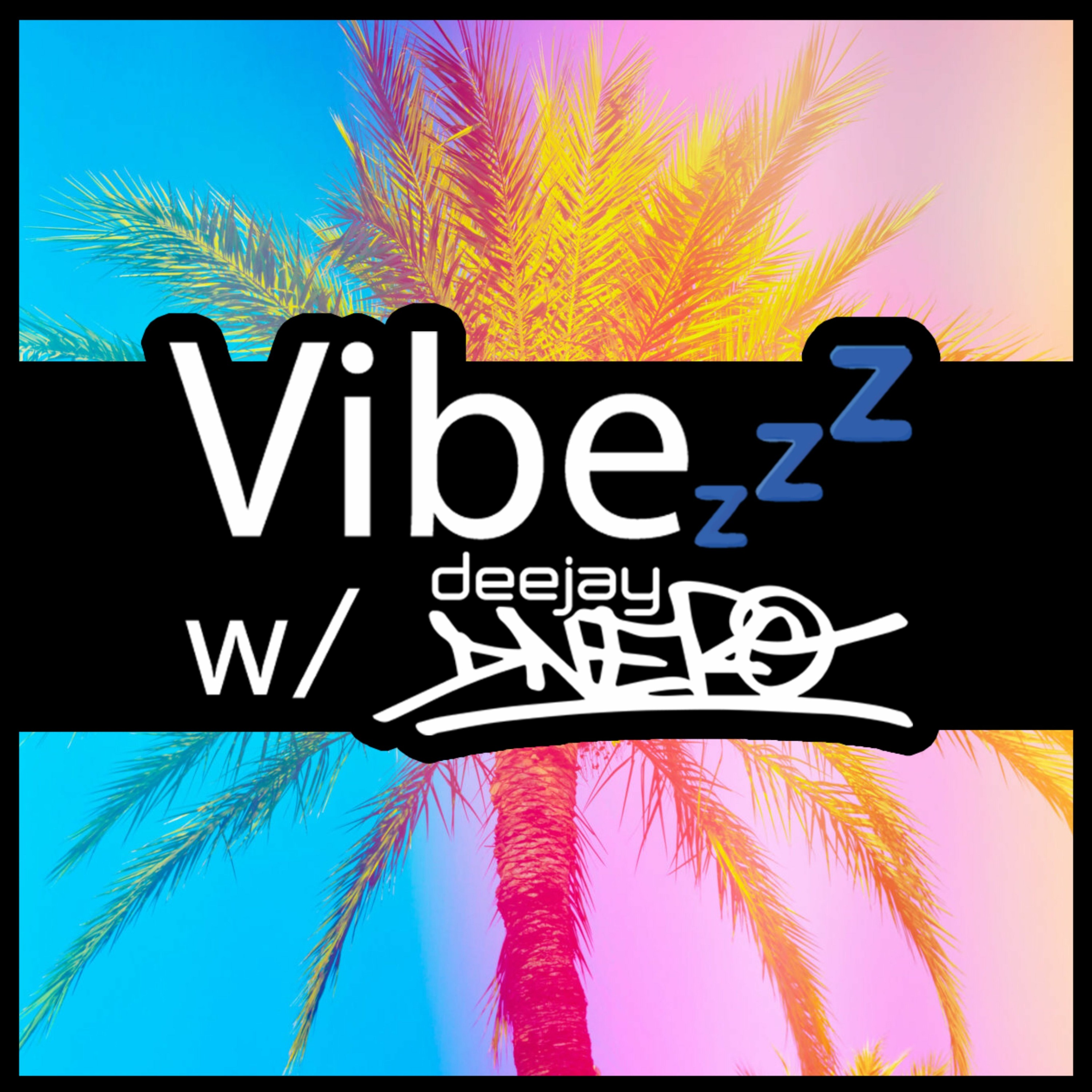 Vibezzz w/ DJ DNERO