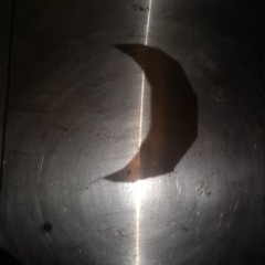 Poussière (avec Pruno Truman)