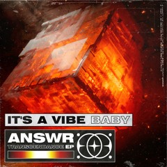 ANSWR - It's A Vibe Baby