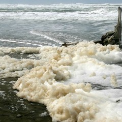 Sea Foam At Nørlev Beach