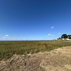 The Wind is Not Sure