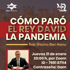 PERASHAT BO 5781- COMO PARO EL REY DAVID LA PANDEMIA