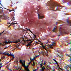 Tanz im Mai | Techno Set