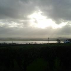 Quarantimes Live Session