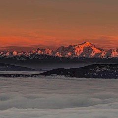 MIX JazzDubHipHop Panda Dub la microfaune bigga ranx Edward Shape & Magnetic Zeros MiX