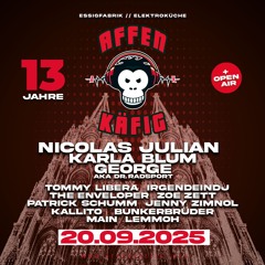 13 Jahre Affenkäfig