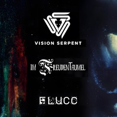 Kollektiv Sheesh I Vision Serpent x Im Freudentaumel I FLUCC Vienna