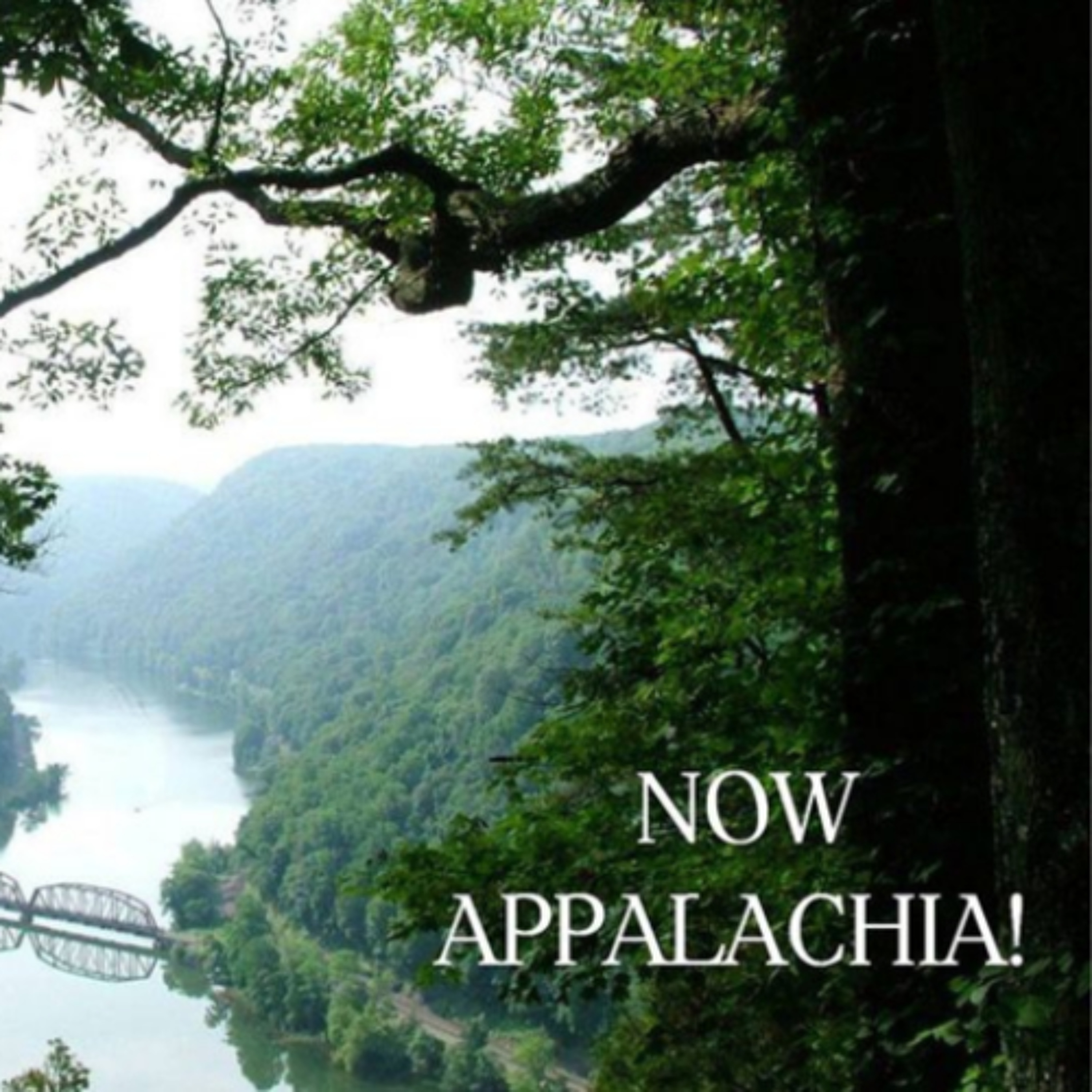 cover of episode Author Lee Cole on Now, Appalachia