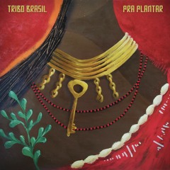 Pra Plantar - Tribo Brasil