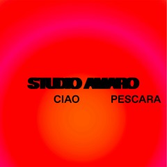 Studio Amaro: Ciao Pescara - Musica: Tenaglia Registrato: Agosto 2023