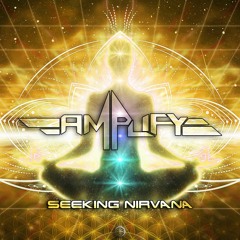 Amplify - Seeking Nirvana
