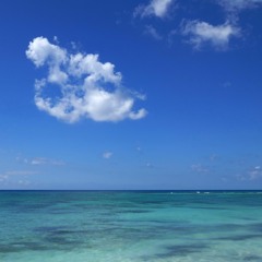 Unspecified Crustacean - Tombstone City Tango Mix