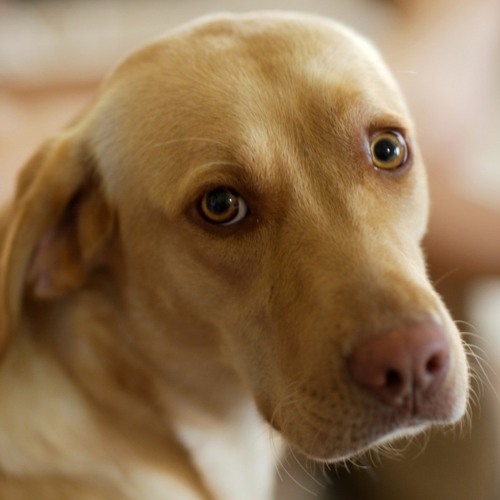 I Want You To Want Me