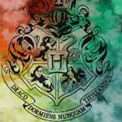 harry potter techno (meduas x baby boomer)