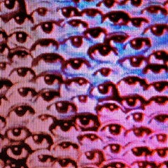 Welcome to my House <<0002>>