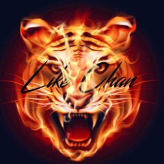 Like Chan
