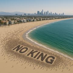 pLAstic nation (NO KING)
