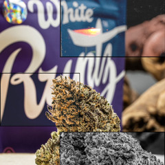 White runtz  ( Love me )