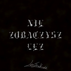 NIE ZOBACZYSZ ŁEZ (prod. FANCYJPROD)
