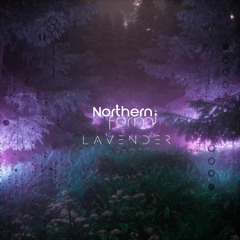 Northern Form - Lavender