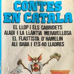 Aladí I La Llàntia Meravellosa - Contes en català