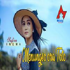 Menungso Ora Toto