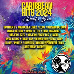 Daven Ray - Caribbean Hits 2024 (Afrobeat X Soca)