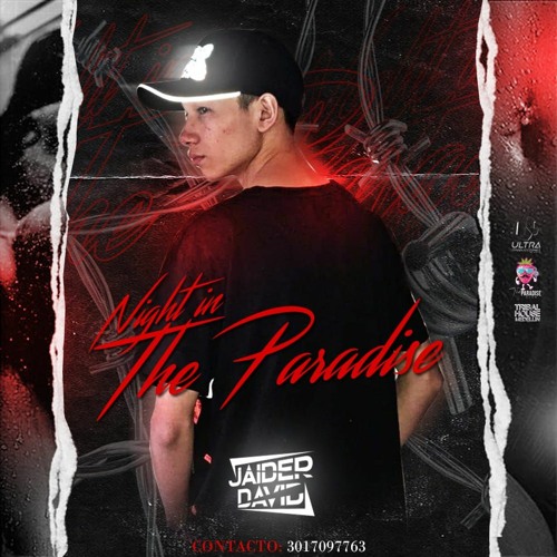 Night In The Paradise By: Jaider David 2021