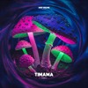 Dointy - Timama [FREE DOWNLOAD]