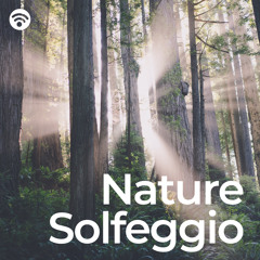 Soothing Solfeggio Alignment in the Wilderness
