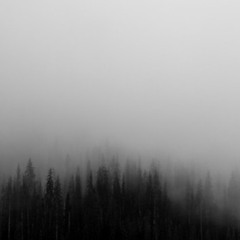 "The Thing in the Fog"