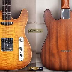 Gil Yaron Telecaster Thinline 2023 Ch1