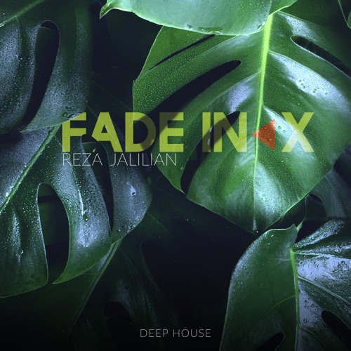Fade IN◀︎ (Vol 10) BY- Reza Jalilian - Jul 2020