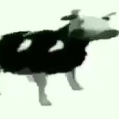 Dancing polish cow HARDSTYLE