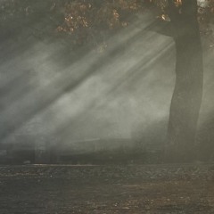 Last Piece Of Session