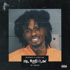 Mic Sinatra- Mr. Biggs Flow