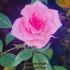 what we loved