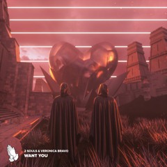 2 Souls & Veronica Bravo - Want You